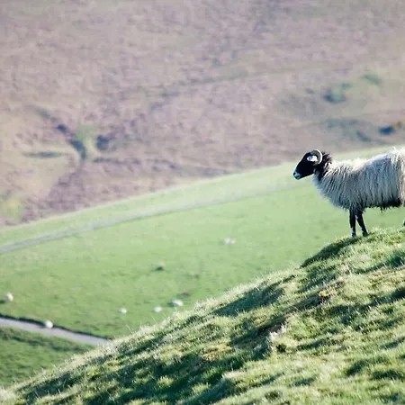 Serendipity Casa de Férias